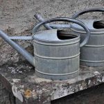 Arrosoirs métalliques usés sur une table en bois près d'un mur en béton