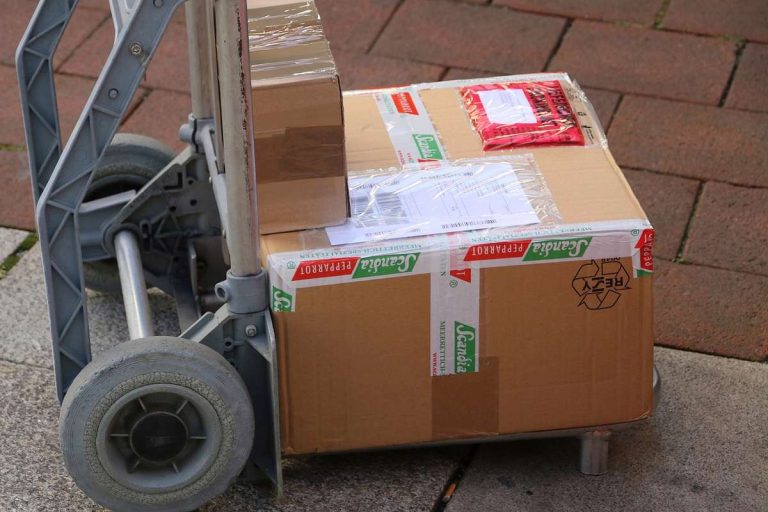 Un chariot transportant deux cartons sur un sol pavé